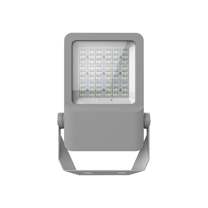 F01-100 Outdoor Waterproof LED Floodlight F01-100 Outdoor Waterproof LED Floodlight