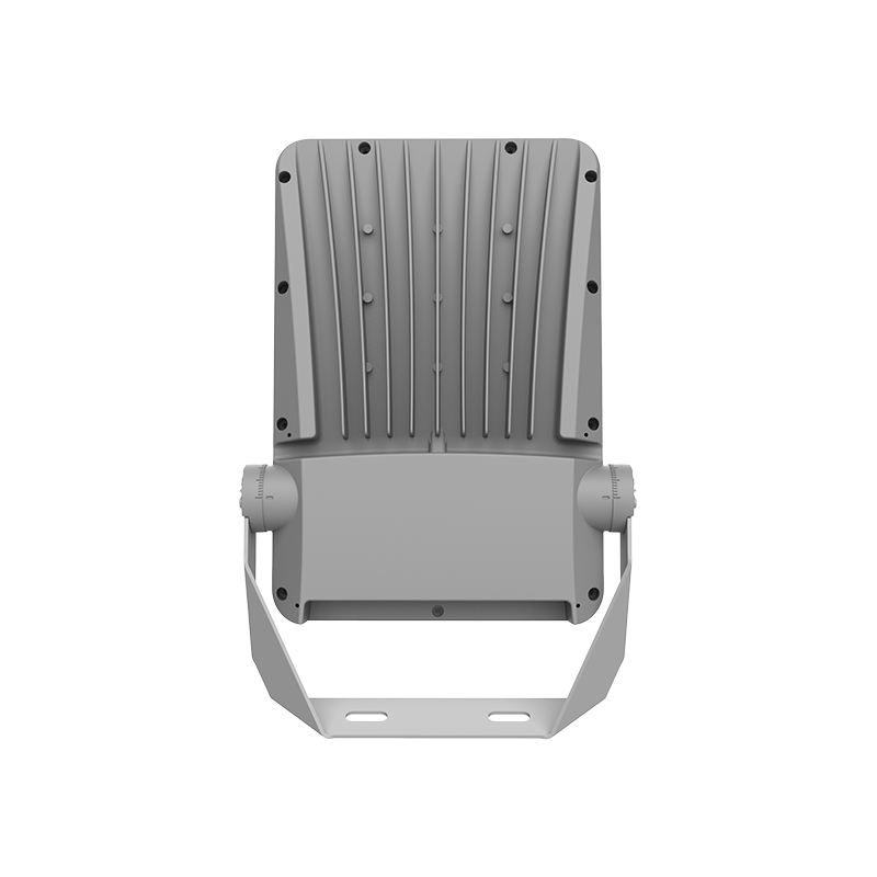 F01-100 Outdoor Waterproof LED Floodlight F01-100 Outdoor Waterproof LED Floodlight